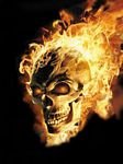 pic for Flaming Skull